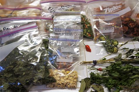 Dried Gifts From the Garden : 9 Steps (with Pictures) - Instructables