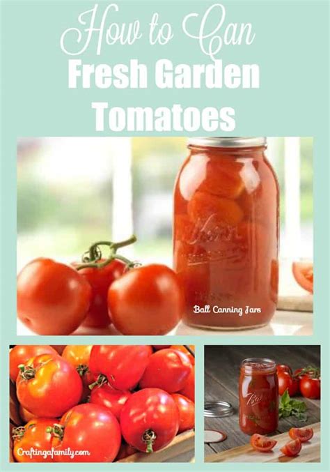 Safest DIY method for canning garden tomatoes for winter storage?