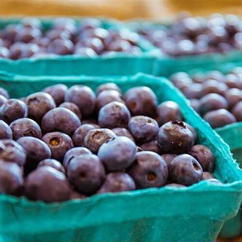 Seasonal Market - Fresh Goods All Year Round | Merrymead Farm