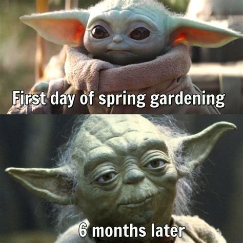 The struggle is real. : r/gardening