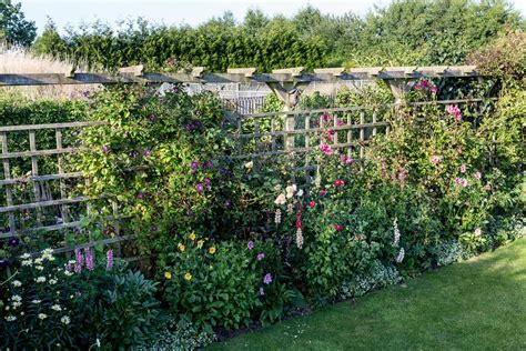 10 Garden Trellis Ideas for Vertical Gardening | BBC Gardeners World ...