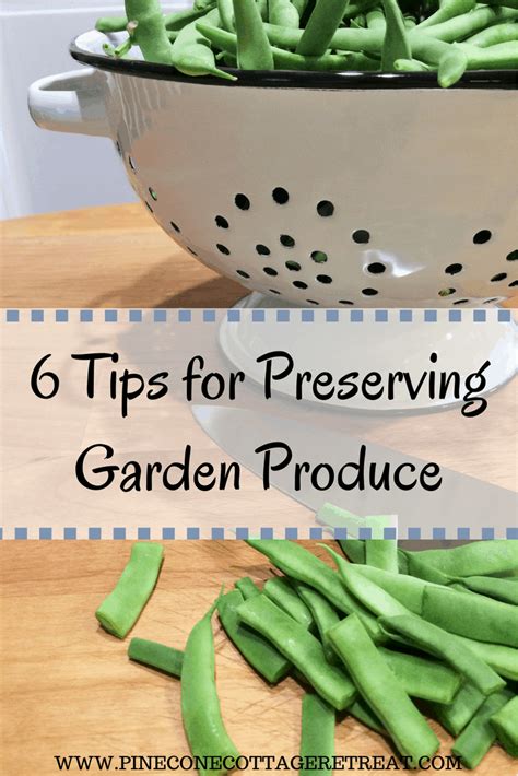 Preserving garden produce for year-round recipes?