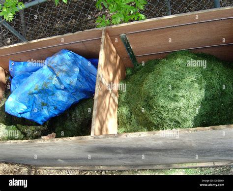 A compost bin filled with organic waste materials like fruit peels ...