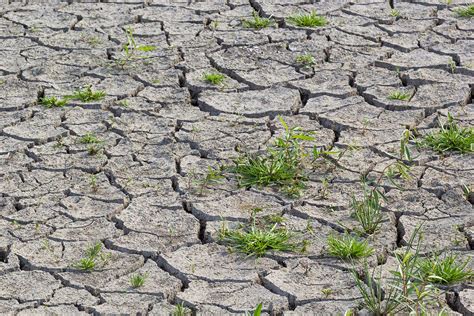 Residential Ground Improvement Solutions | Geobear