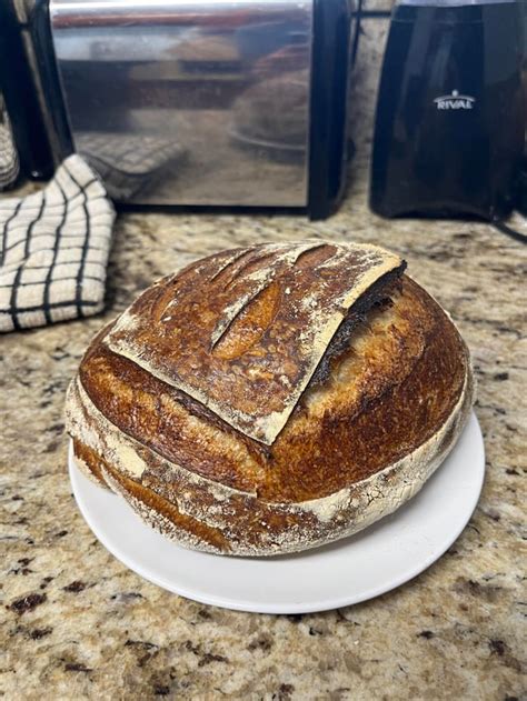 :) successful sourdough rise : r/Bread