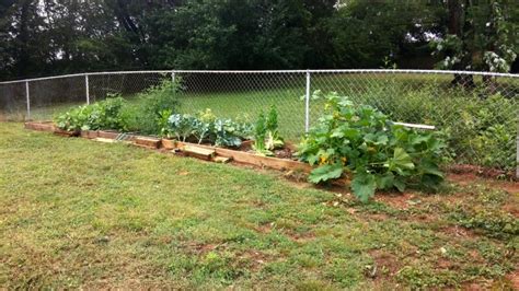 Safest beginner canning method for excess garden tomatoes and produce?