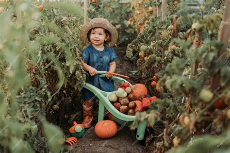 Premium Photo | Little girl harvesting crop of vegetables and fruits ...