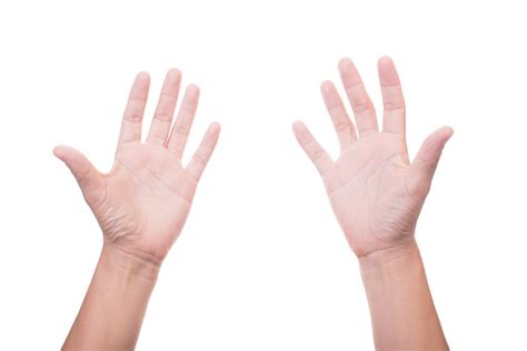 Two Female Hands Palms Up Isolated On White Background Stock Photo ...