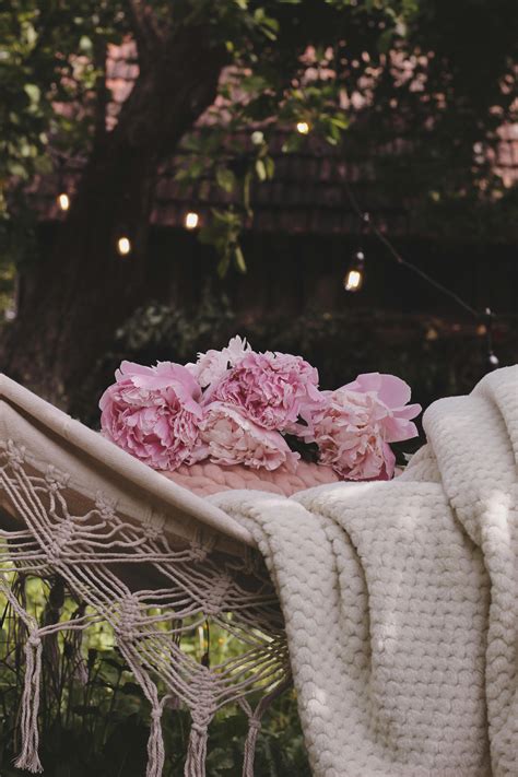 Brown Picnic Blanket on Green Grass · Free Stock Photo