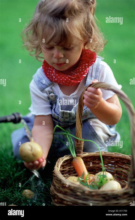 Vegetable washing basket hi-res stock photography and images - Alamy