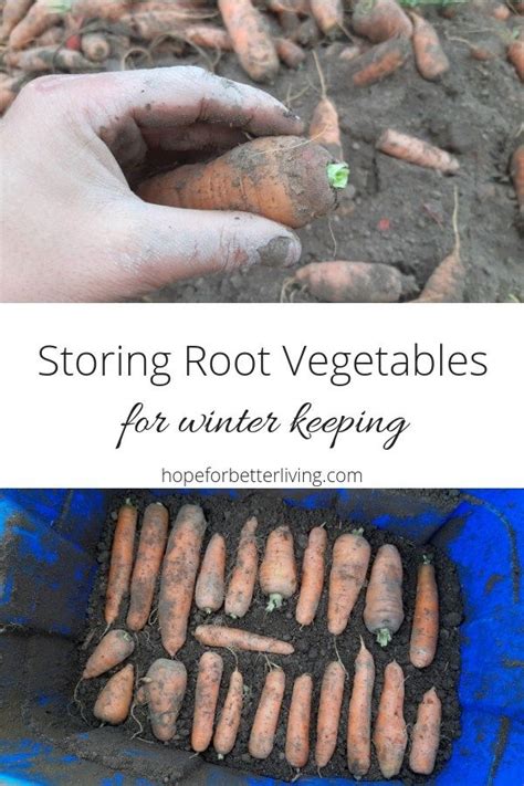 How to store garden bounty for winter without a root cellar?