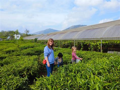 What is so special about farm visits? - Sigma Farmers Market