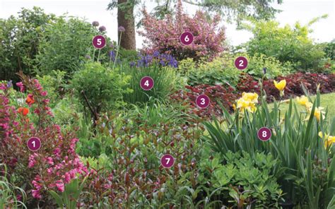 A Garden Plan for a Beautiful, Deer-Resistant Border - Fine Gardening