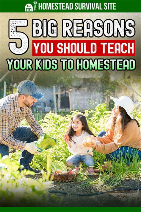 How to teach kids homestead chores responsibly, making it fun?