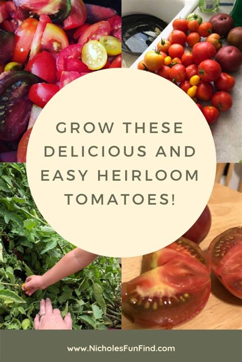 Heirloom Tomatoes - easy and delicious | Nichole's Fun Finds | Heirloom ...