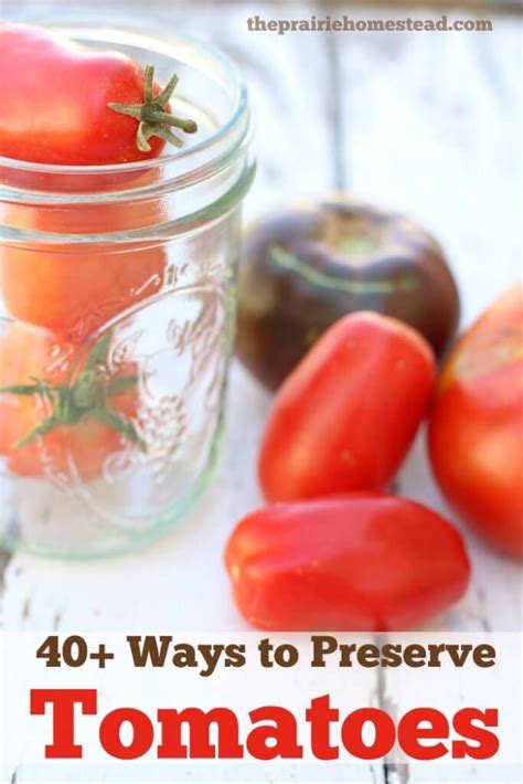 How to best preserve a glut of organic summer tomatoes from the homestead garden?
