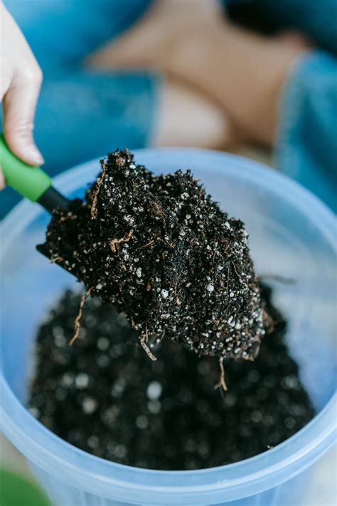 Amending Soil in Your Garden: The Essentials - Supply Solutions, LLC