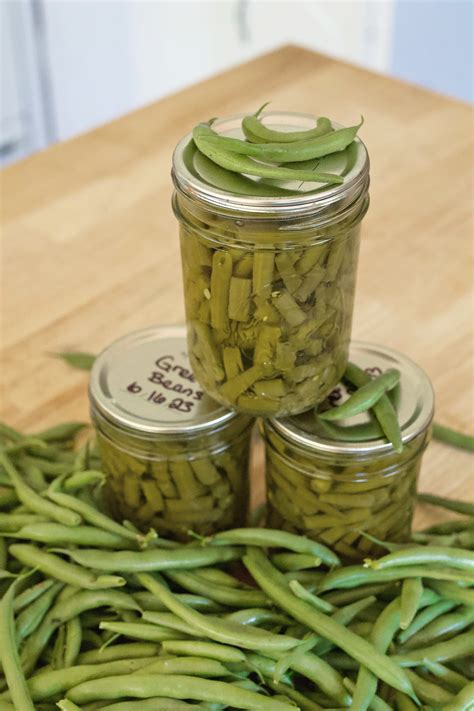 Pressure Canning Green Beans: An Easy Step-By-Step Guide