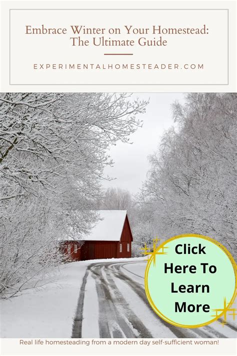 Embrace Winter on Your Homestead: The Ultimate Guide - Experimental ...
