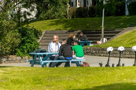 How to Strike Up Conversations with Locals | What's On in Reykjavík