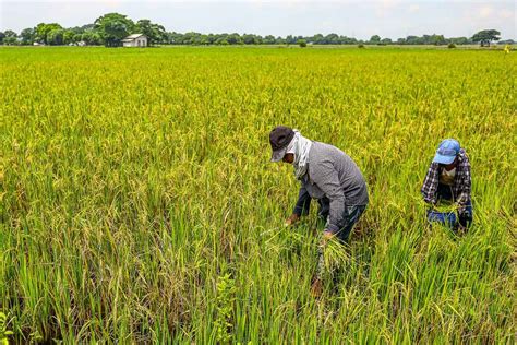 Farmers urge review of agriculture policies: 'Make government listen'