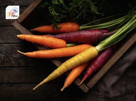 23 Healthy Root Vegetables with Cooking and Storing Tips