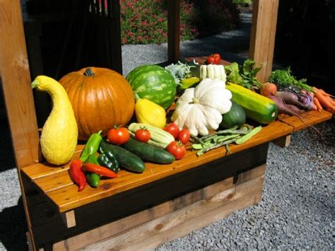 How to Harvest Your Vegetable Garden - Urban Farm Colorado