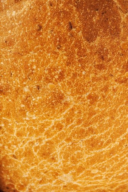 Premium Photo | Freshly baked bread