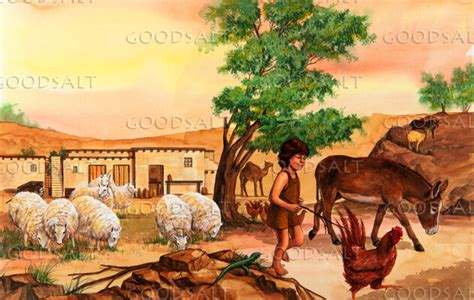 Country Living - GoodSalt