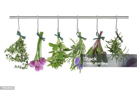 Herbs Hanging And Drying Stock Photo - Download Image Now - Hanging ...