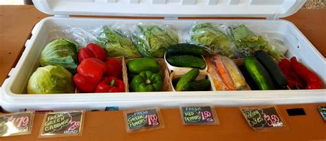 A Visit to the New Local Produce Market - Teadoddles