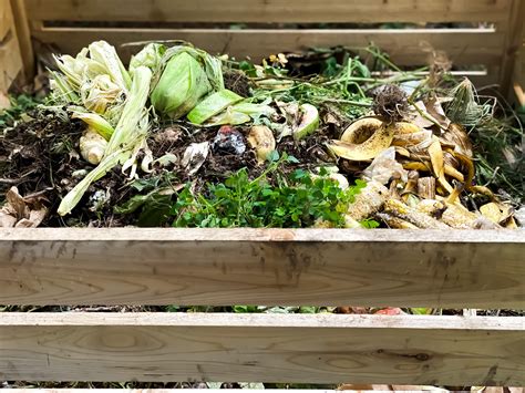 Hot Composting: How to Make Compost in Less Time