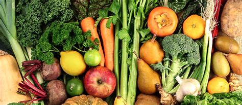 What is Organic Certification and Why is it so Important? - Chantal ...