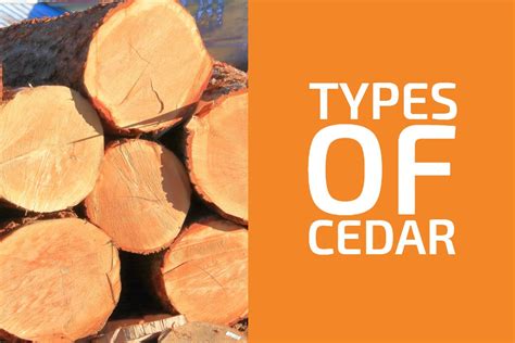 8 Types of Cedar Wood: Which Is Best for Woodworking? - Handyman's World