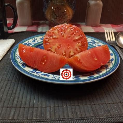 Opalka Tomato-Bounty Hunter Seeds-Rare Heirloom Tomato Seeds