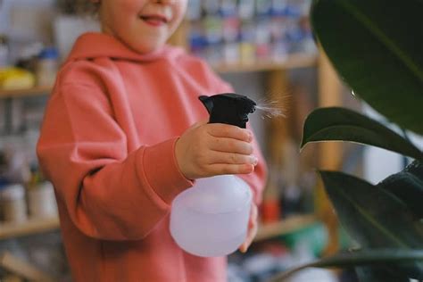 3 Homemade Insecticidal Soap Sprays for Plants - Dre Campbell Farm