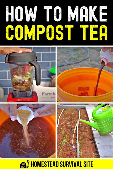How To Make Compost Tea at Judy Parks blog