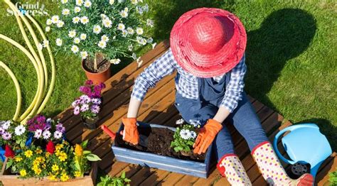 870+ Catchy Gardening Team Name Ideas [2025]