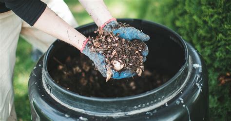 Composting: A Complete Beginner's Guide
