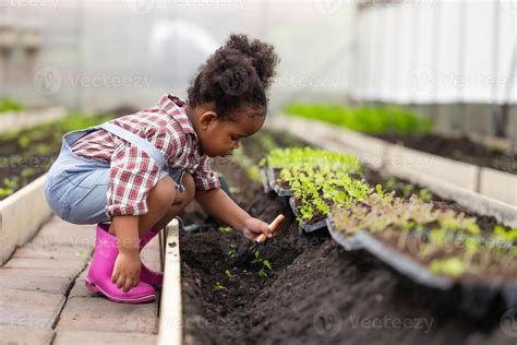 African black child playing planting the green tree gardening in ...
