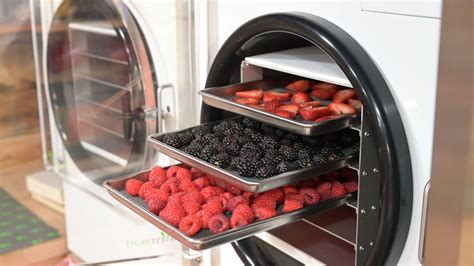 Harvest Right Freeze Dryer FAQs — Homesteading Family