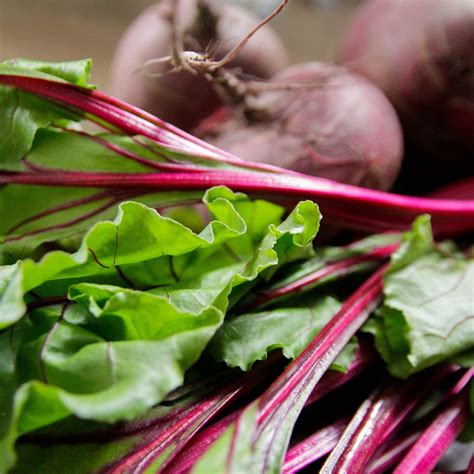 10 Types of Leafy Greens and How to Cook Them