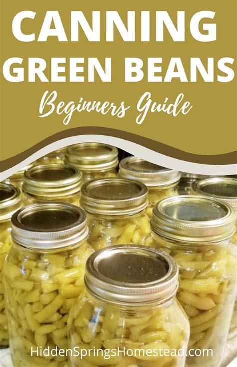 Home Canned Green Beans | Green beans, Canning recipes, Can green beans