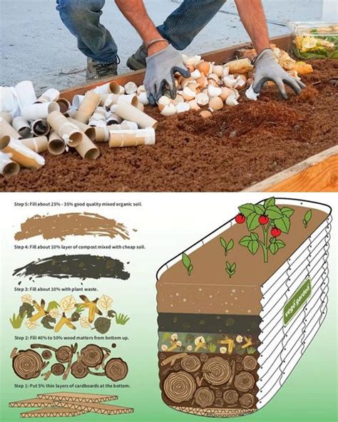 How to naturally enrich garden soil for healthier, abundant vegetables?