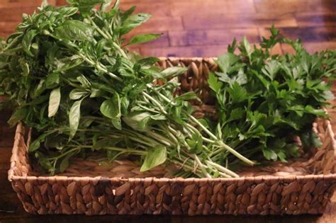 Perfect Pesto Recipe - Life on Misty Acres