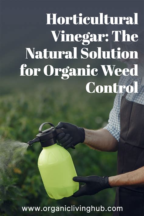 Organic weed control – Artofit