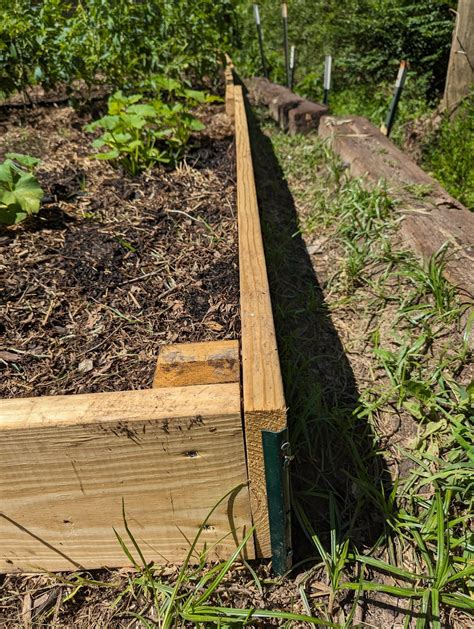 Wood raised bed longevity? : r/gardening