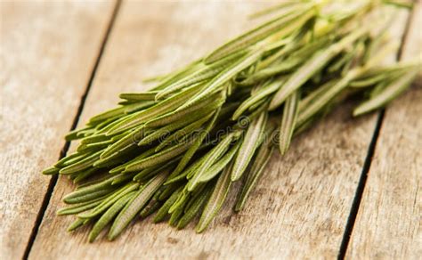 Freshly harvested herbs stock photo. Image of choice - 62730846