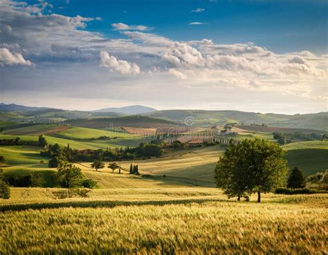 Scenic View of a Rural Landscape Stock Illustration - Illustration of ...