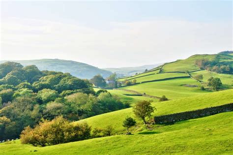 Some Benefits of Living in the Countryside - Home In The Pastures